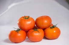 番茄图片