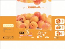 水果杏子包装图片
