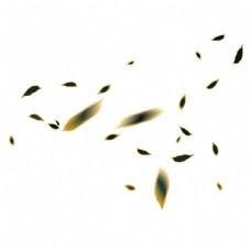 漂浮装饰金箔植物落叶元素图片