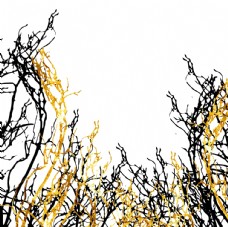 黑金植物森林元素图片