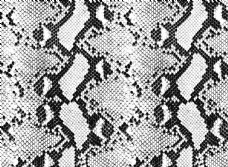 蛇皮纹动物皮纹图片
