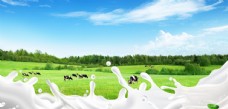 绿色食品牛奶背景图片