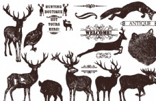 野生动物手绘线描动物鹿野生小动物图片