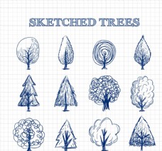 手绘树木草图图片