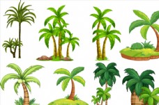 沙滩绿色椰子树图片