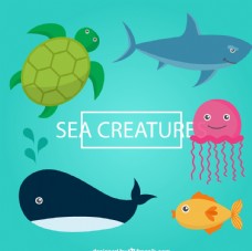 卡通海洋动物图片