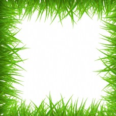 绿背景绿草空白框架背景图片