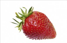 饮食水果水果饮食设计图片