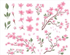 情人节底纹樱花图片