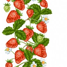 其他生物草莓图片
