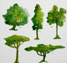 水彩绘树木图片