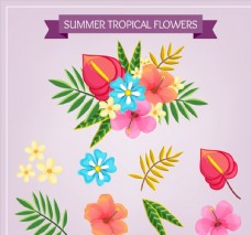 热带花卉和叶子图片