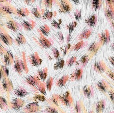 欧式花纹背景抽象羽毛图片