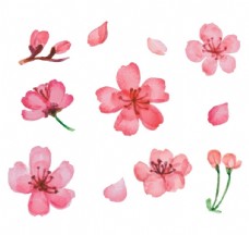 文艺花瓣11款粉色樱花矢量素材图片