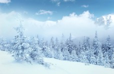 唯美冬天雪景图片
