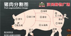 超市猪肉分割图图片