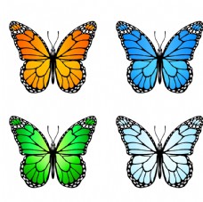 其他生物蝴蝶图片