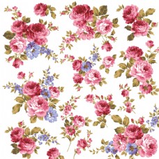 花纹图片素材壁纸玫瑰牡丹图片