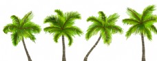 绿背景椰子树图片