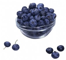 其他生物蓝莓图片
