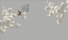 飞鸟玉兰花室雅灡香背景墙图片