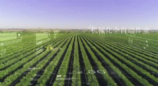 数字农业智慧农业农业生态图片