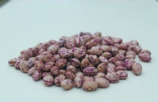 云南雀蛋豆子图片
