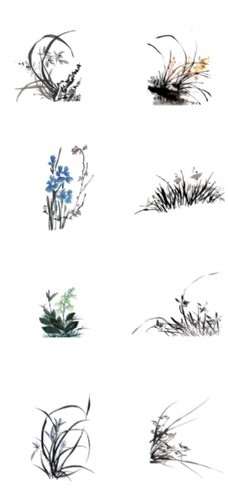 花卉装饰画兰花插画素材图片