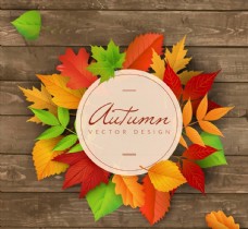 木材秋季叶子装饰标签图片