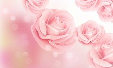 七夕海报粉色玫瑰海报背景图片