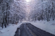 木材白色冬天图片