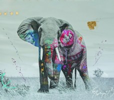 墙纸草地上的大象涂鸦画装饰背景图图片