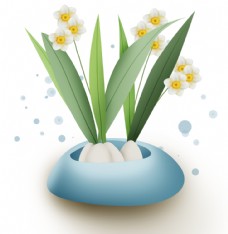 手绘水仙花图片免费下载 手绘水仙花设计素材大全 手绘水仙花模板下载 手绘水仙花图库 图行天下素材网