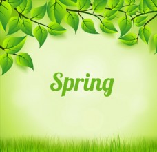 春天广告绿色树叶与草地图片