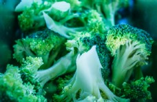 绿色蔬菜新鲜西蓝花图片