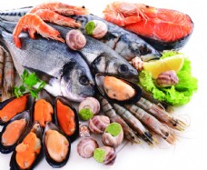 食材海鲜海鲜食材图片