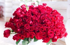 玫红色玫瑰红色玫瑰花束图片