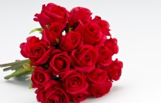 玫红色玫瑰红色玫瑰花束高清拍摄素材图片