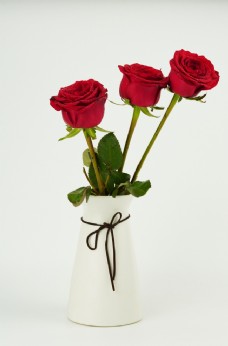 花草花瓶里的玫瑰花图片