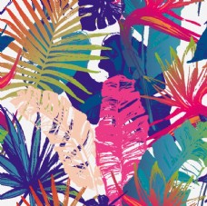 创意画册热带雨林植物椰树花朵图片