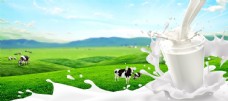 绿色食品牛奶图片