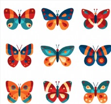 拼色蝴蝶设计图片
