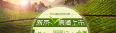 中国风设计新茶图片