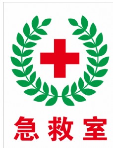 红十字日宣传急救室图片