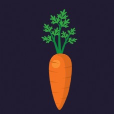 挂画红萝卜蔬菜水果图片