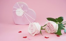 唯美粉色玫瑰花拍摄素材图片