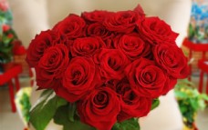 浪漫唯美玫瑰花束图片