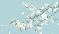 春天海报樱花图片