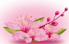 春天广告手绘樱花图片