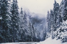 大自然雪景图片
